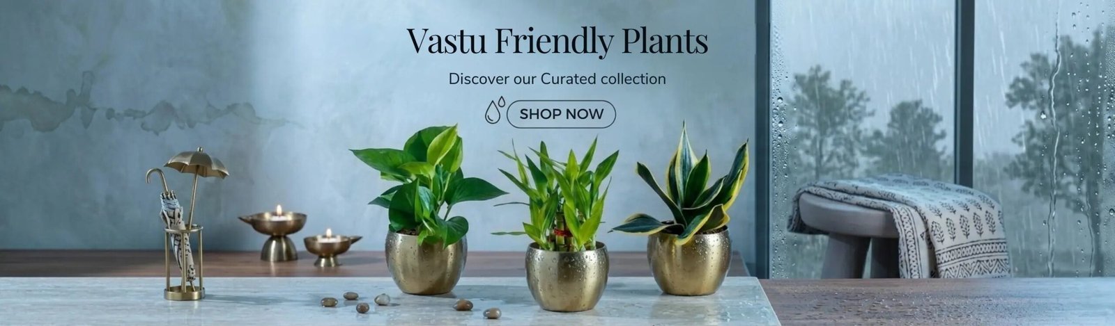 vastu-plants-set-monsoon-month-sale-2026-banner-D-greenkin (1)